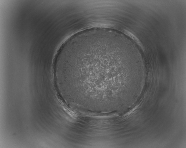 X0000073921027200608251544