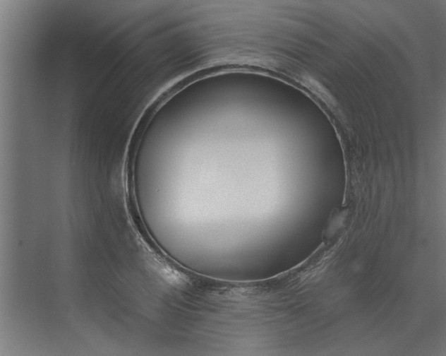 X0000073921028200608251544