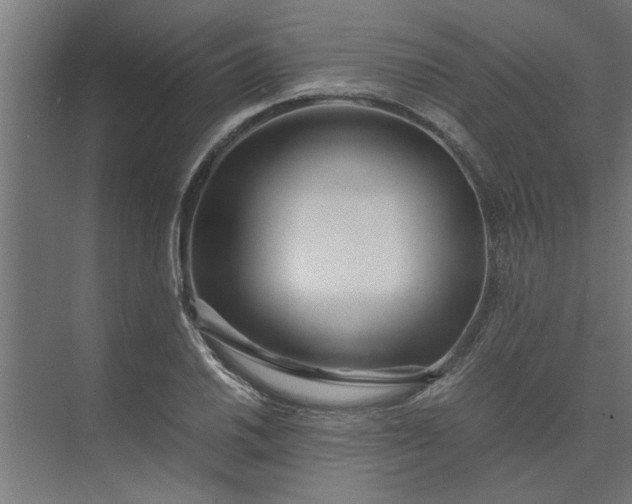 X0000073921030200608251544