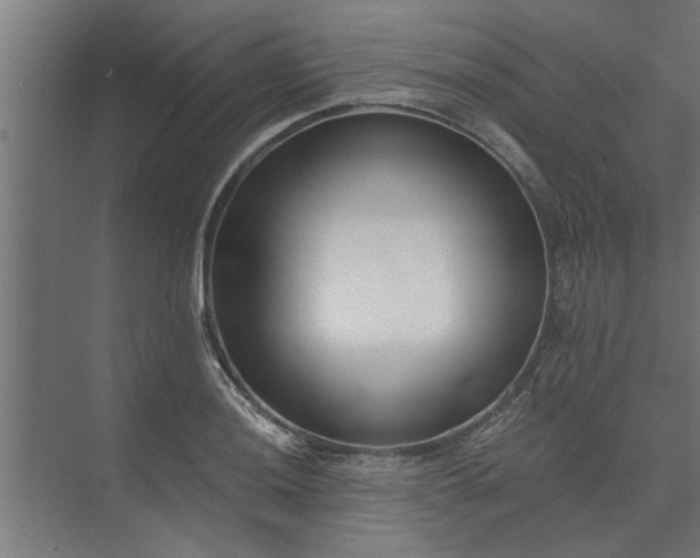 X0000073921036200608251544