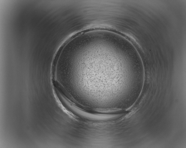 X0000073921038200608251544