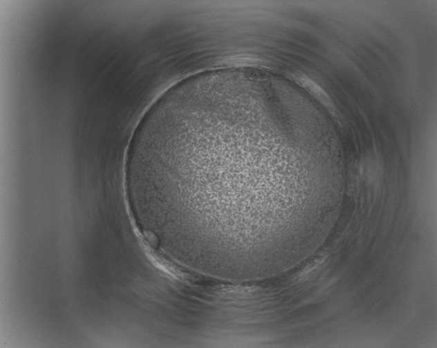 X0000073921039200608251544