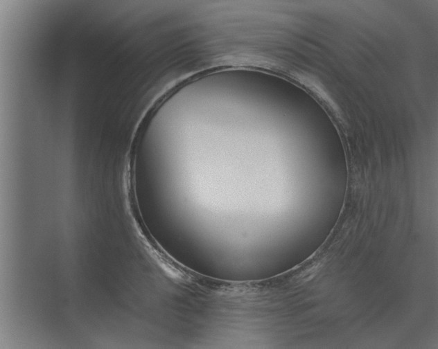 X0000073921040200608251544