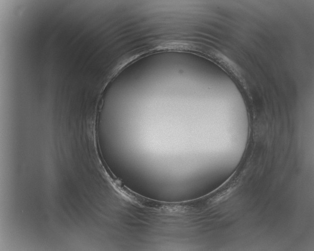 X0000073921041200608251544