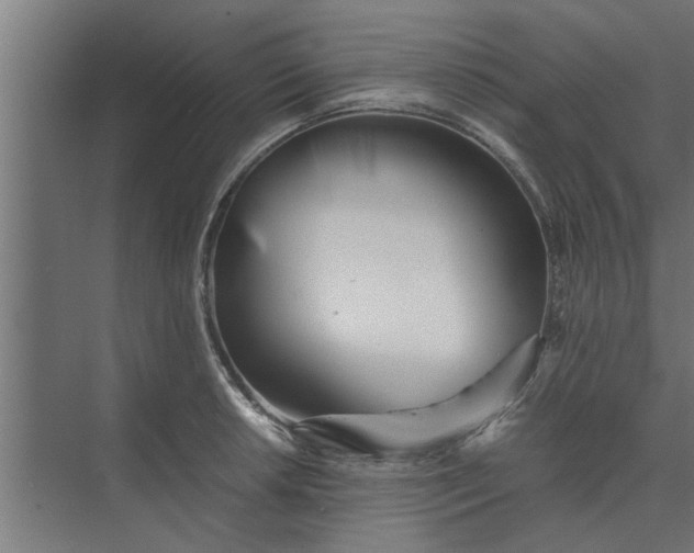 X0000073921042200608251544