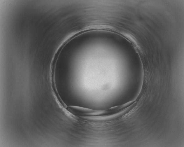 X0000073921046200608251544