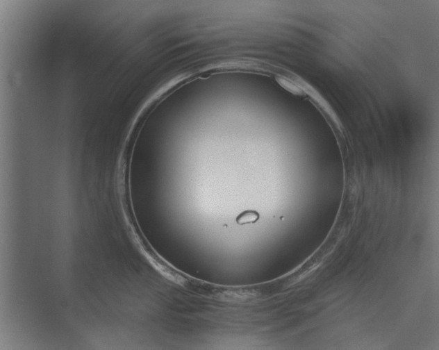 X0000073921053200608251544