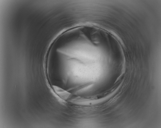 X0000073921054200608251544