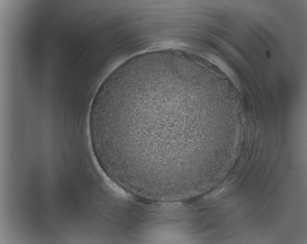 X0000073921055200608251544