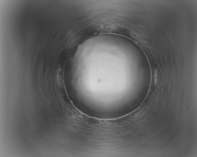 X0000073921059200608251543