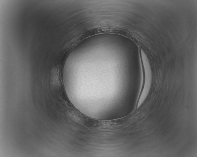 X0000073921060200608251543