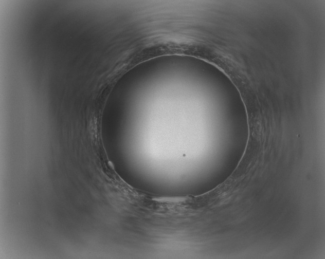 X0000073921061200608251543