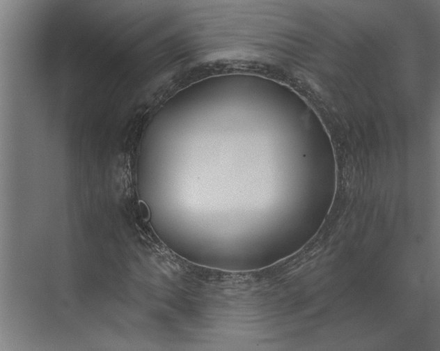 X0000073921062200608251543