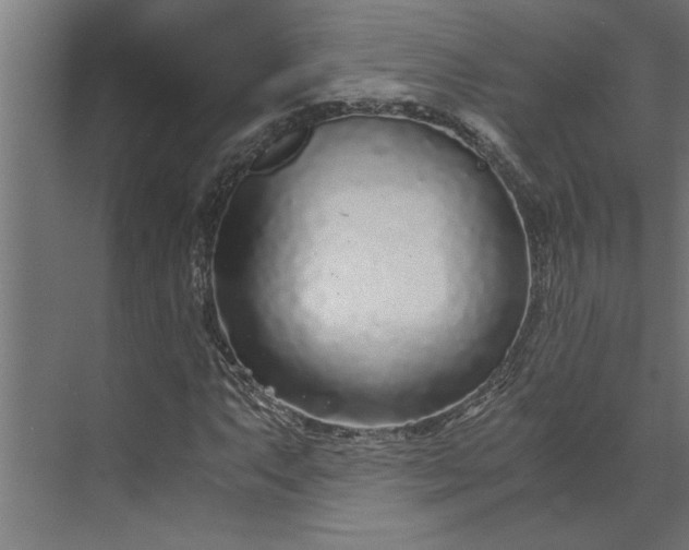 X0000073921063200608251543