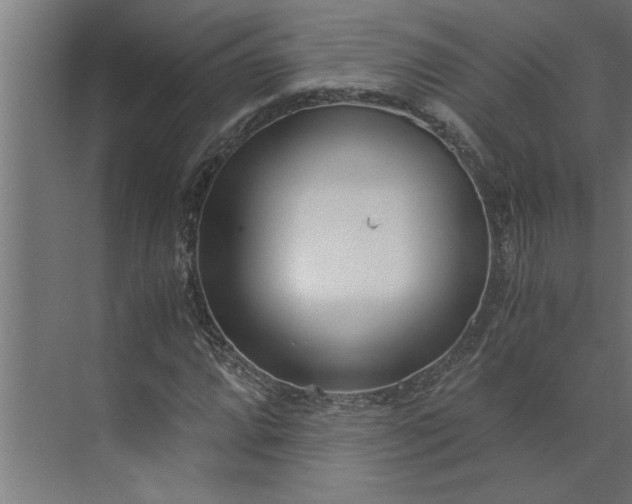 X0000073921064200608251543