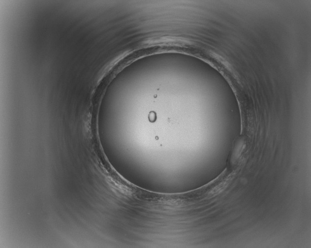 X0000073921066200608251543