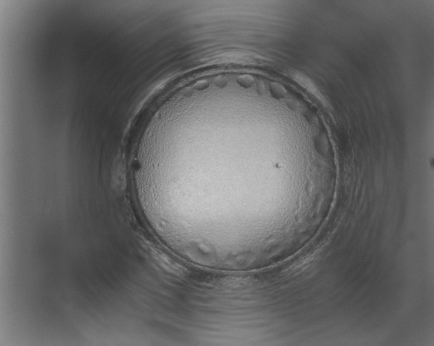 X0000073921067200608251543