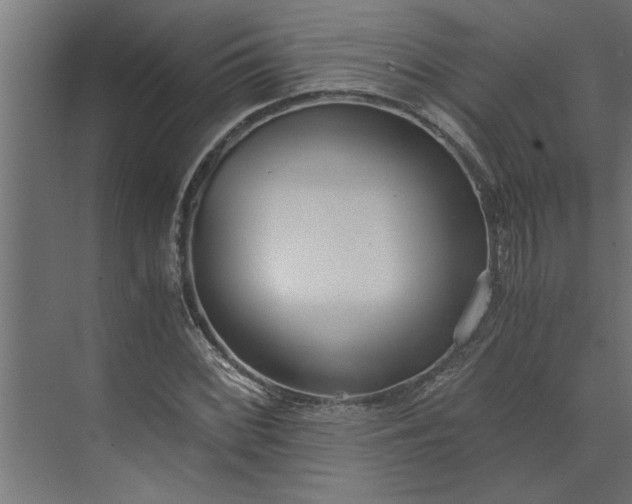 X0000073921068200608251543