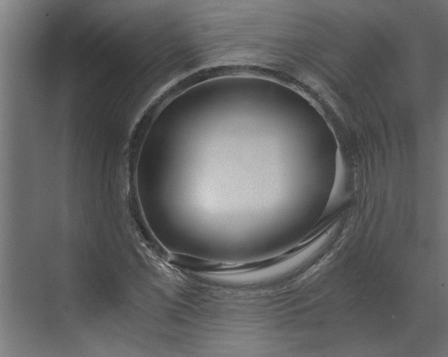 X0000073921069200608251543