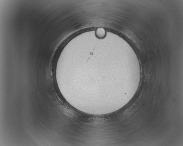 X0000073921070200608251543