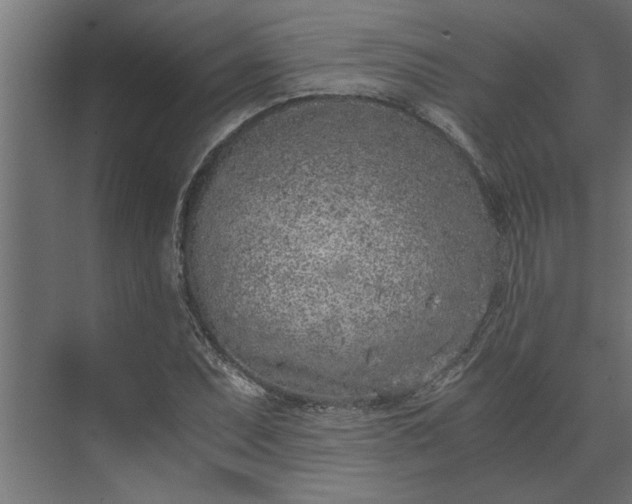 X0000073921071200608251543