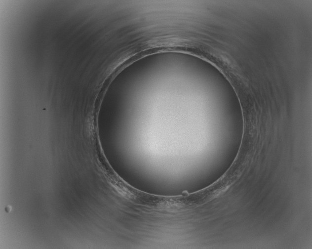 X0000073921073200608251543