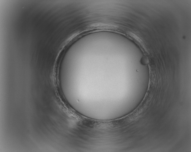 X0000073921074200608251543