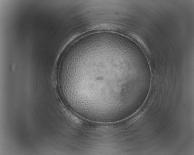 X0000073921075200608251543