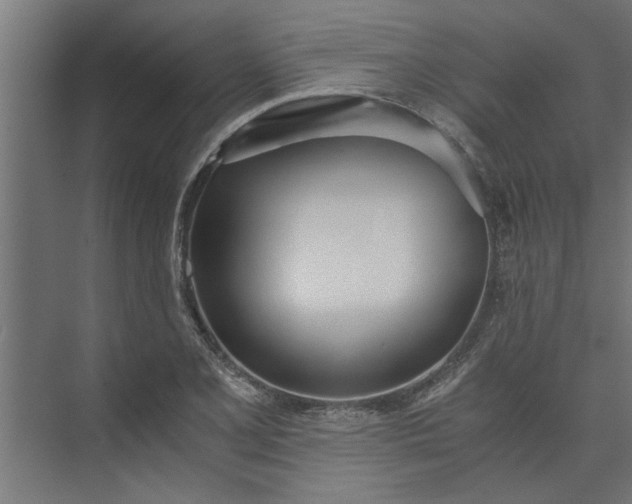 X0000073921077200608251543