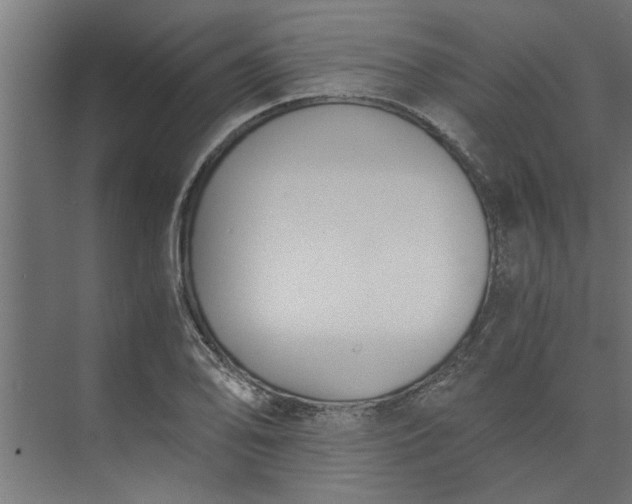 X0000073921078200608251543