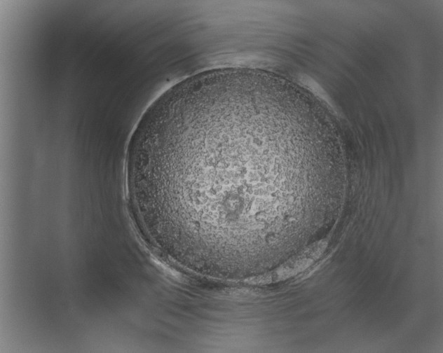 X0000073921079200608251543