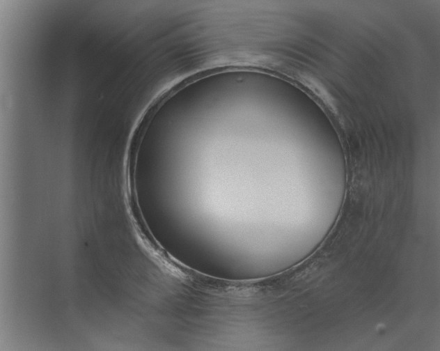 X0000073921080200608251543