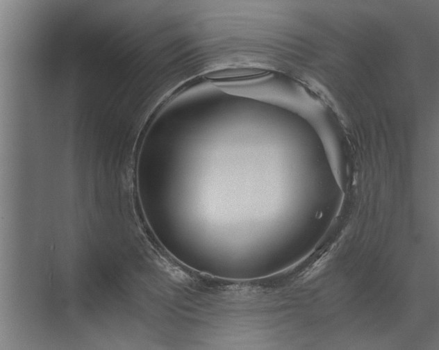 X0000073921081200608251543