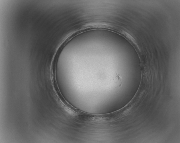 X0000073921082200608251543