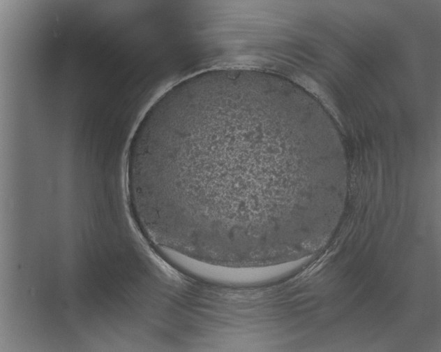 X0000073921083200608251543