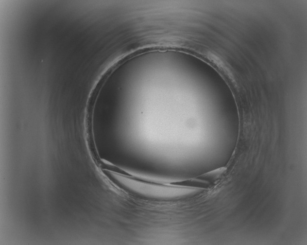 X0000073921085200608251543