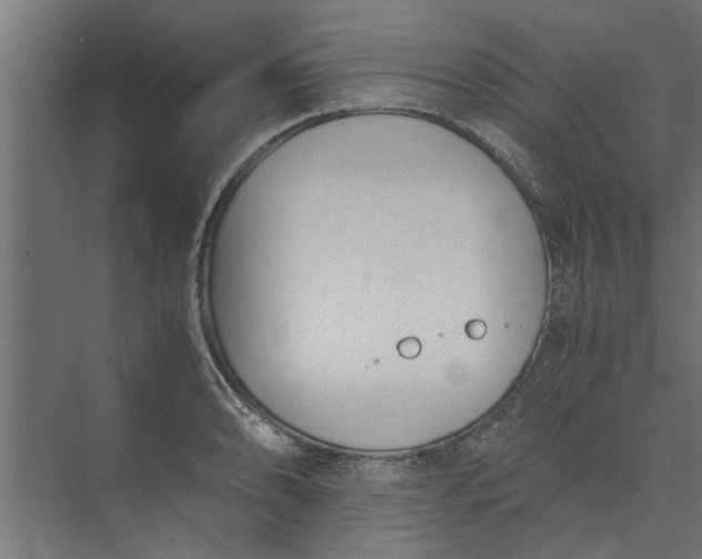 X0000073921086200608251543