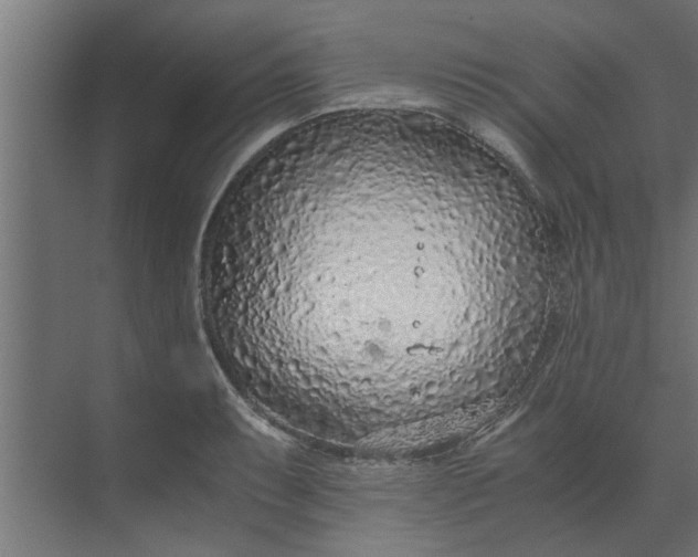 X0000073921087200608251543