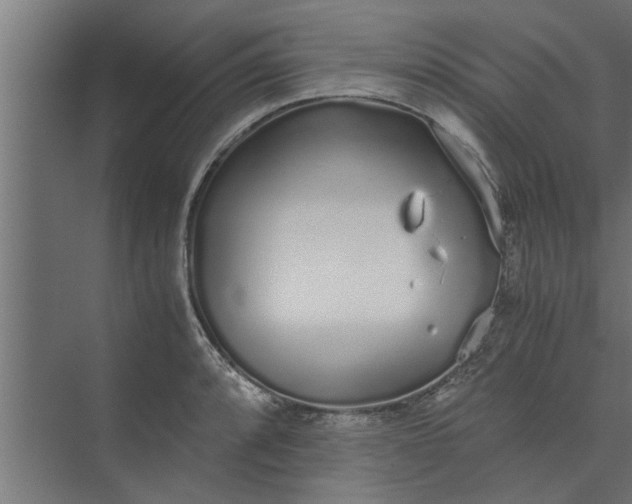 X0000073921088200608251543