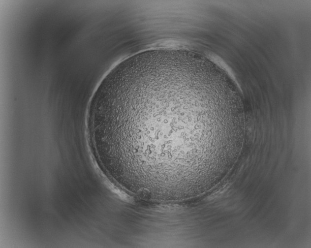 X0000073921091200608251543