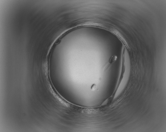 X0000073921092200608251543