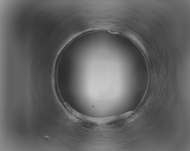 X0000073921093200608251543