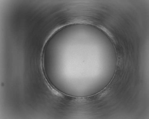 X0000073921094200608251543