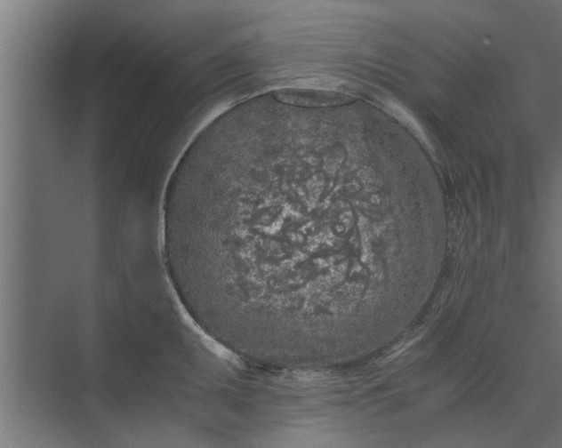 X0000073921095200608251543