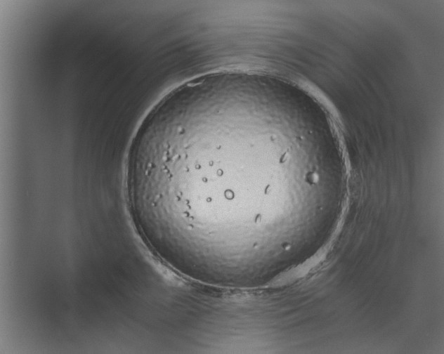 X0000073921099200608251543