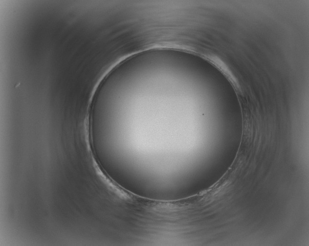 X0000073921100200608251543