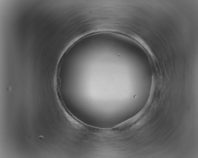 X0000073921101200608251543