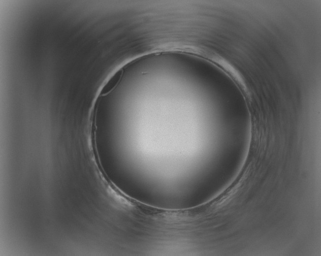 X0000073921102200608251543