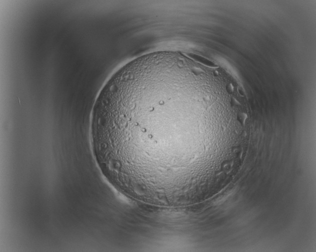 X0000073921103200608251543