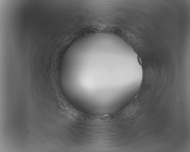 X0000073921105200608251542